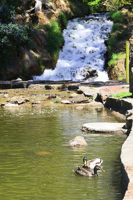 Ấn tượng 3 thắng cảnh tuyệt đẹp ở San Francisco, Mỹ